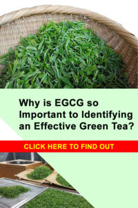 Epigallocatechin gallate (EGCG ) and its Importance to Green Tea. 